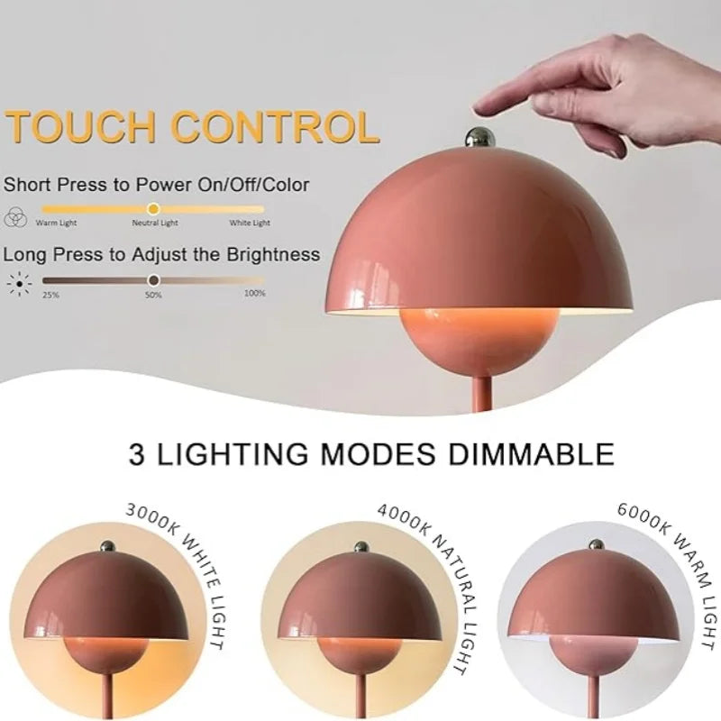 Color Mood Light