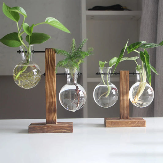 The Floating Garden